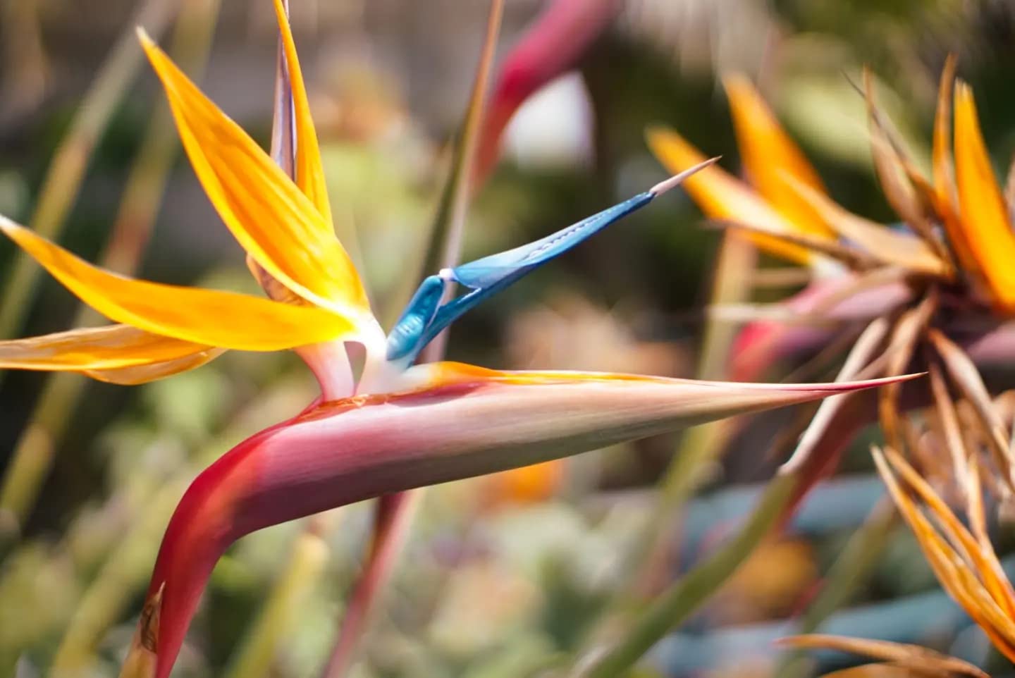 7artisans 35mm F1.2 II APS-C Manual Focus Camera Prime Portrait Lens for FX Mount Fujifilm X-A1 X-A2 X-A3 X-A5 X-T1 X-T2 X-T3 X-T10 X-T20 X-T30 X-E1 X-E2 X-E3 Cameras Black - Customer Photo 1