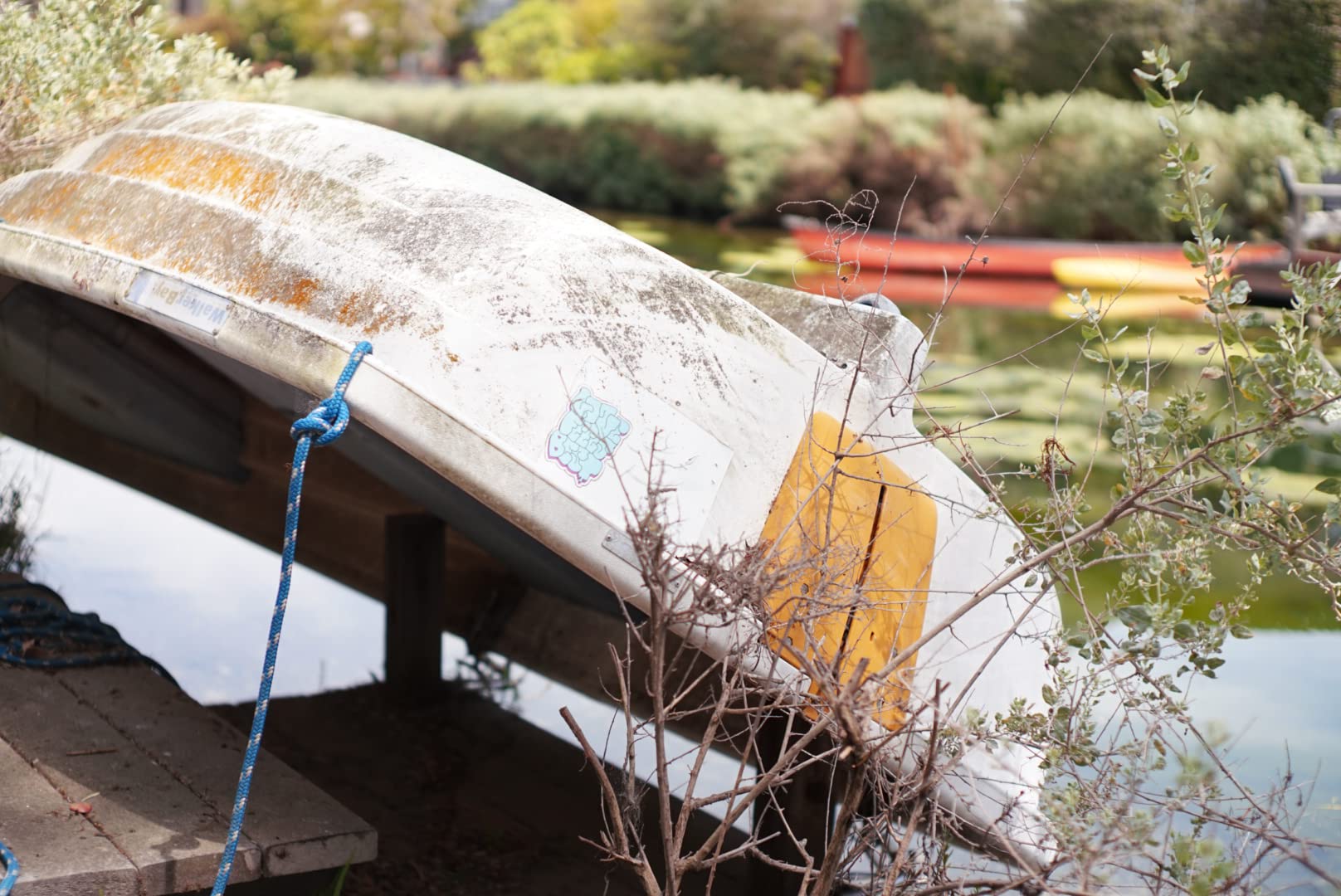 7artisans 35mm F1.2 II APS-C Manual Focus Camera Prime Portrait Lens for FX Mount Fujifilm X-A1 X-A2 X-A3 X-A5 X-T1 X-T2 X-T3 X-T10 X-T20 X-T30 X-E1 X-E2 X-E3 Cameras Black - Customer Photo 2