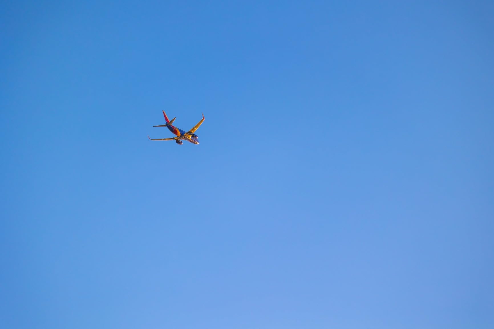 Canon RF70-200mm F4 L is USM Lens, Telephoto Zoom Lens, Compatible with EOS R Series Mirrorless Cameras, White - Customer Photo 5