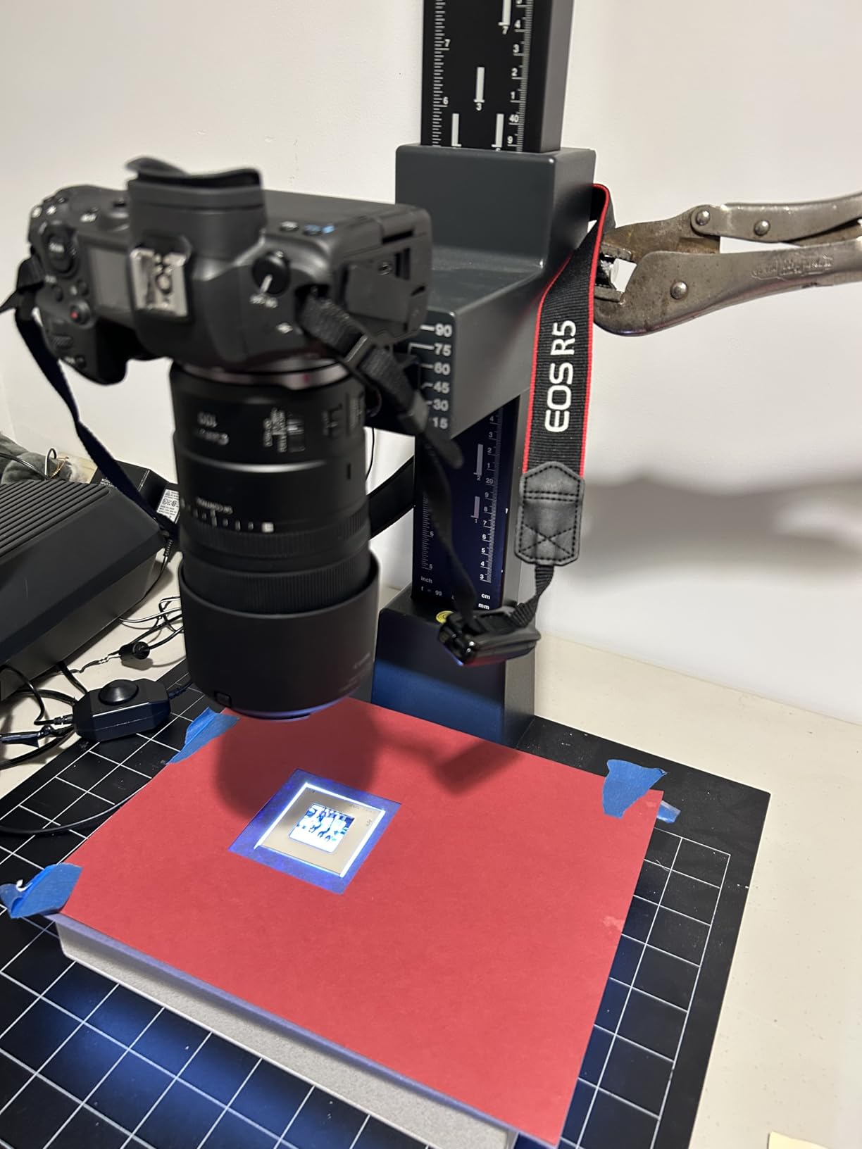 Canon RF100mm F2.8 L Macro is USM Lens - World's First 1.4x Magnification Macro - Customer Photo 1