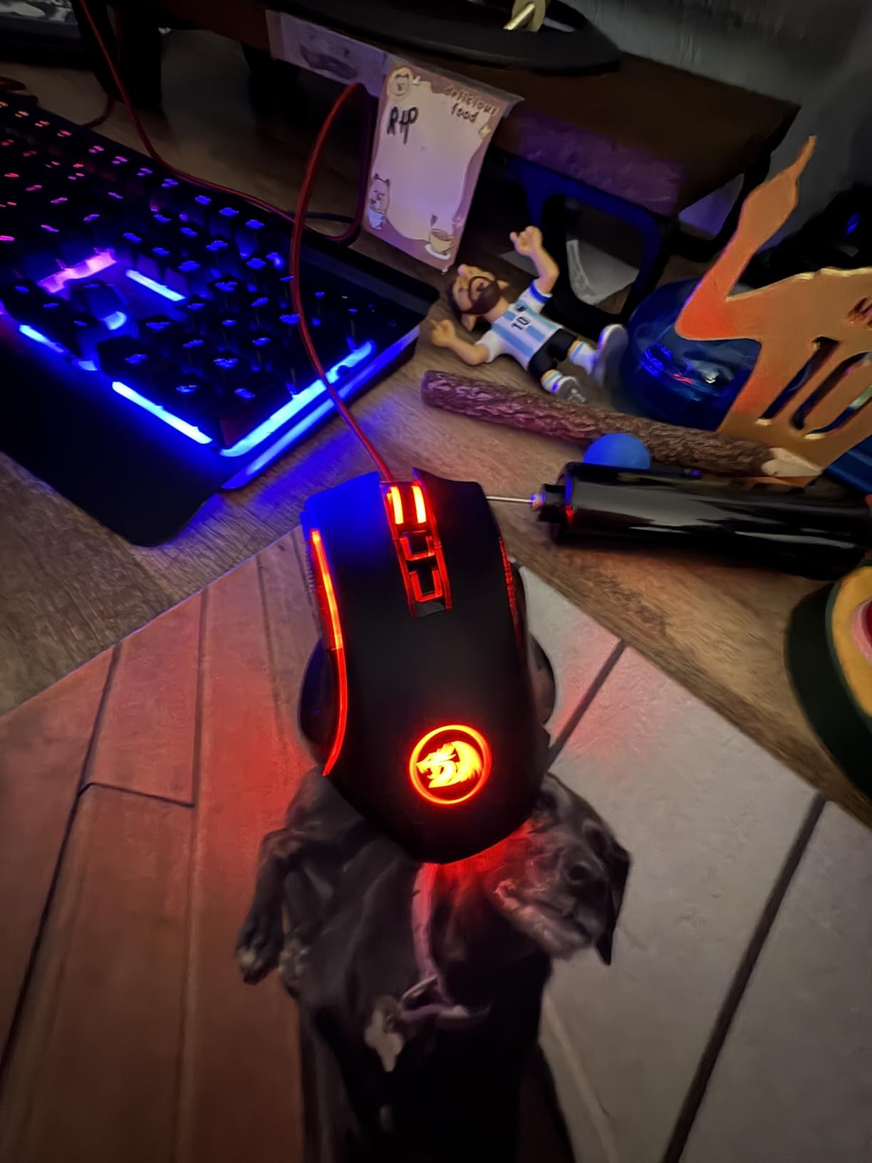 Redragon M602 Griffin RGB Gaming Mouse, RGB Spectrum Backlit Ergonomic Mouse with 7 Programmable Backlight Modes up to 8000 DPI for Windows PC Gamers (Black, Wireless) - Customer Photo 1