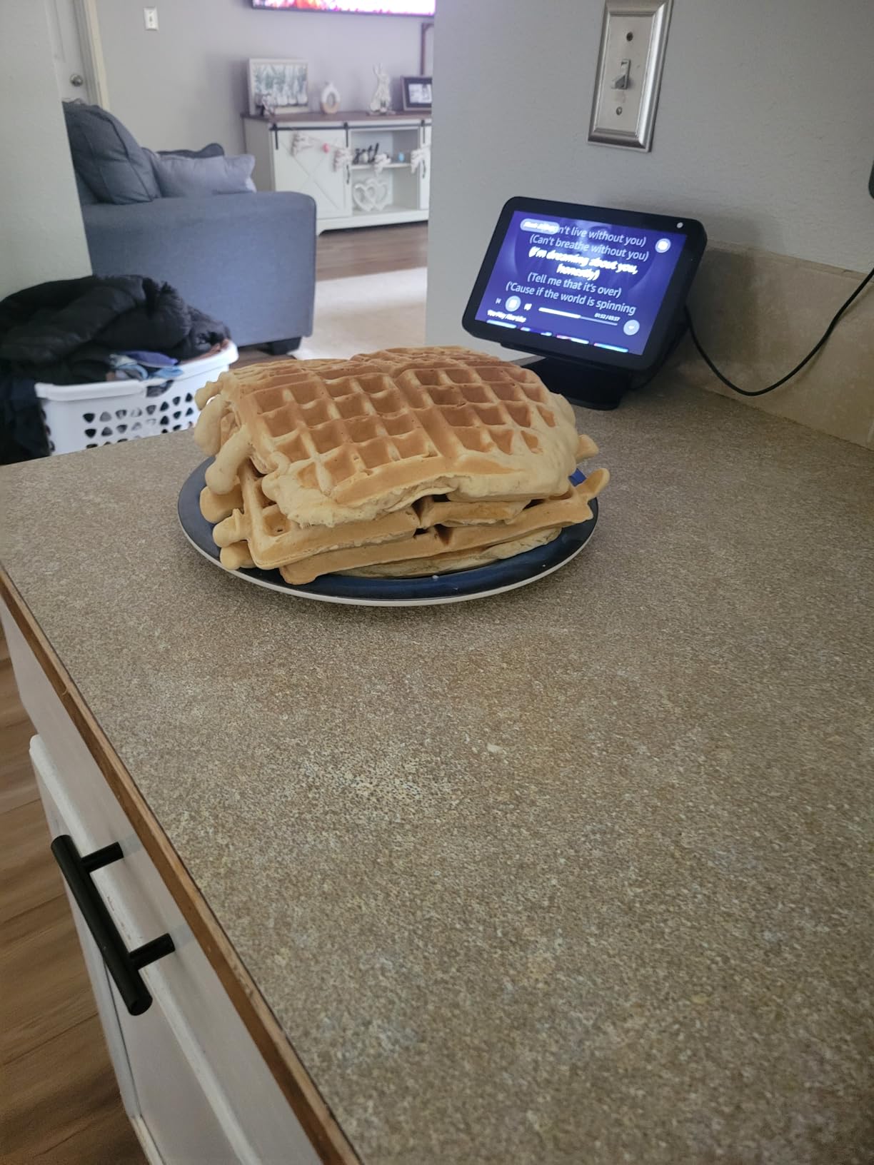 Dash No-Drip Waffle Maker - Quad Waffle Maker for Hassle-Free Breakfasts - Dual Nonstick Heating Plates & Quick Heat-Up System - Easy-Release Surface - Silver - Customer Photo 1