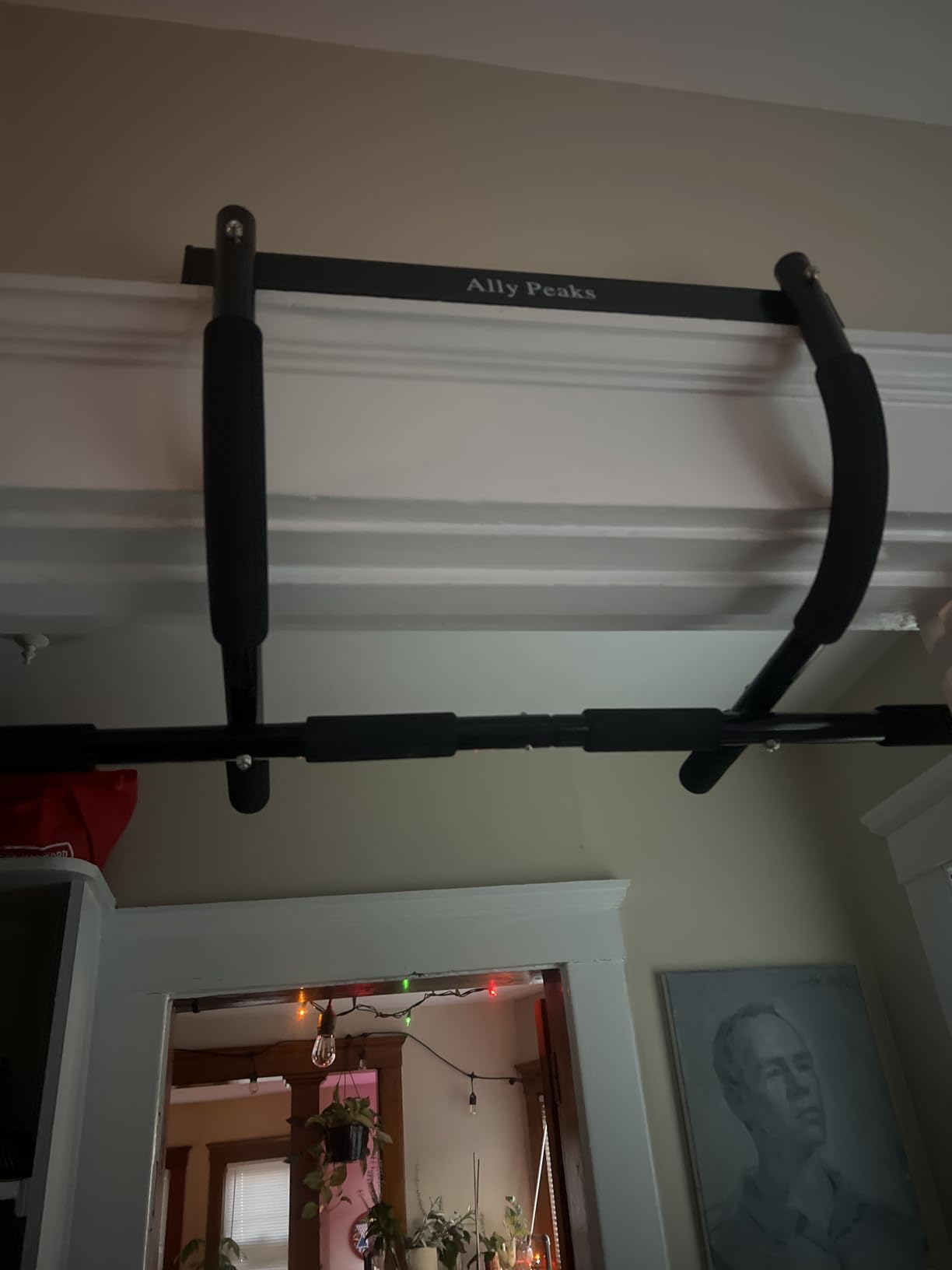 Ally Peaks Pull Up Bar for Doorway | Thickened Steel Max Limit 440 lbs Upper Body Fitness Workout Bar| Multi-Grip Strength for Doorway | Indoor Chin-Up Bar Fitness Trainer for Home Gym Portable - Customer Photo 1