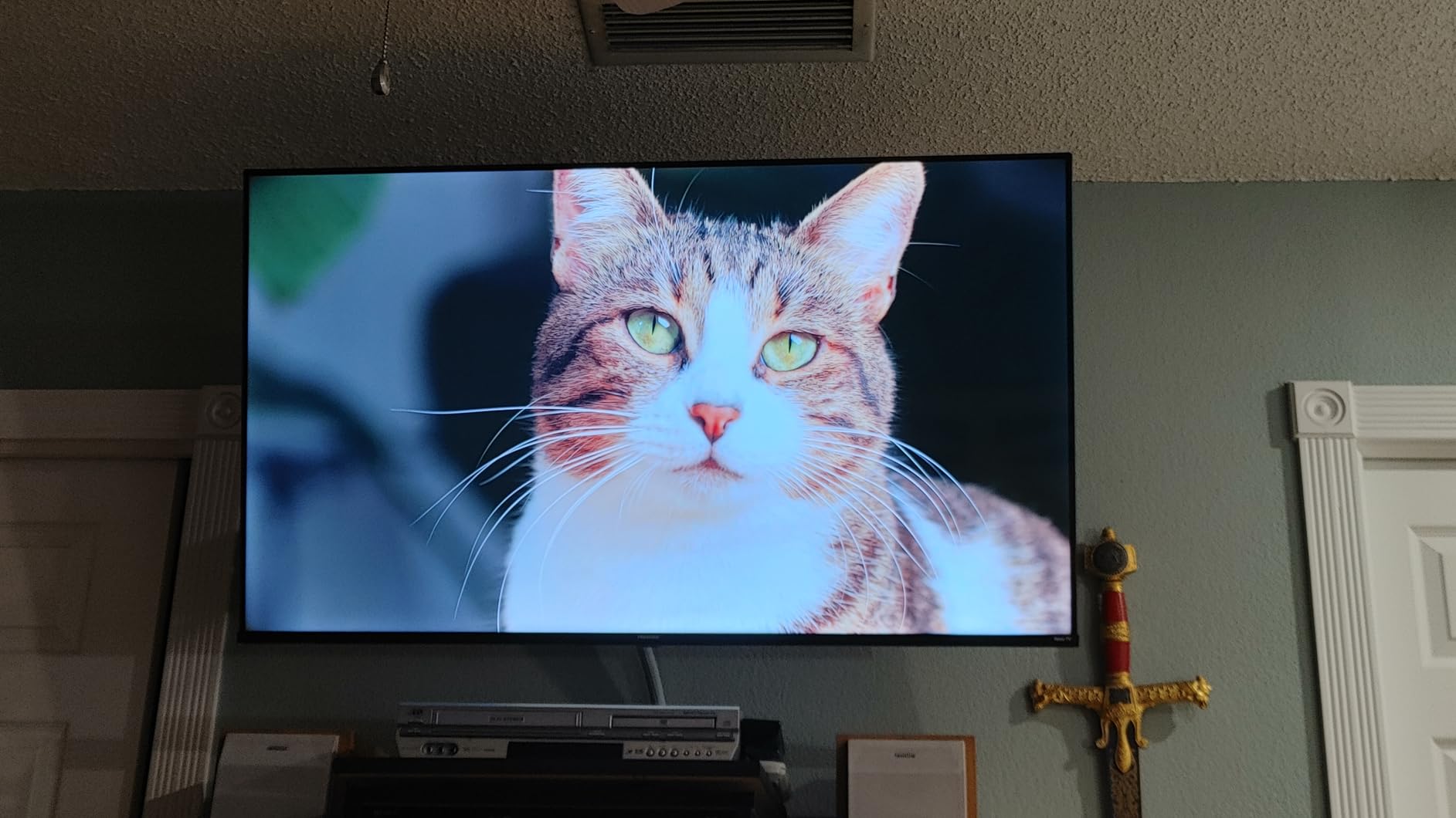 Hisense 65-Inch Class R6 Series 4K UHD Smart Roku TV with Alexa Compatibility, Dolby Vision HDR, DTS Studio Sound, Game Mode (65R6G), Black - Customer Photo 2