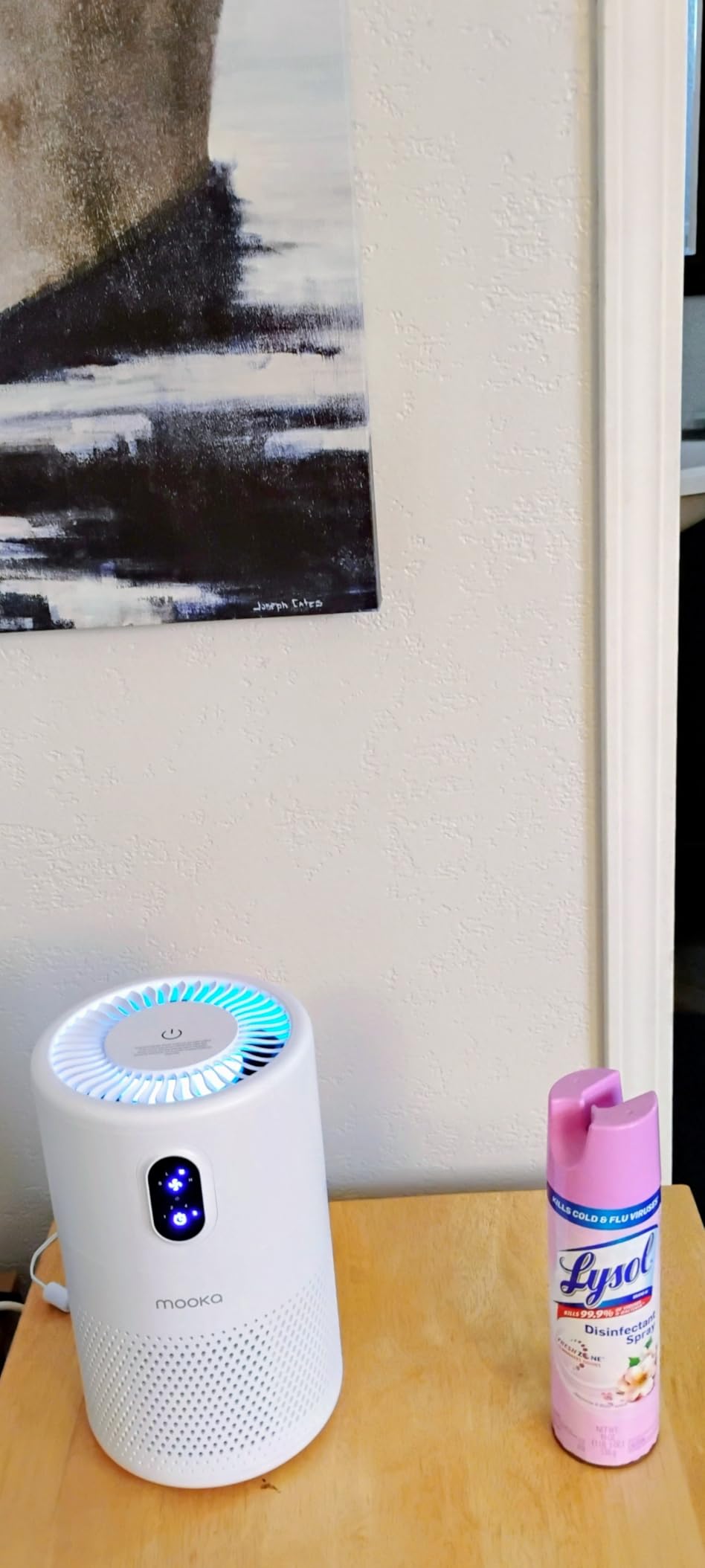MOOKA Air Purifiers for Home Large Room up to 1076 ft², H13 True HEPA Air Filter Cleaner, Odor Eliminator, Remove Smoke Dust Pollen Pet Dander, Night Light, B-D02L White - Customer Photo 2