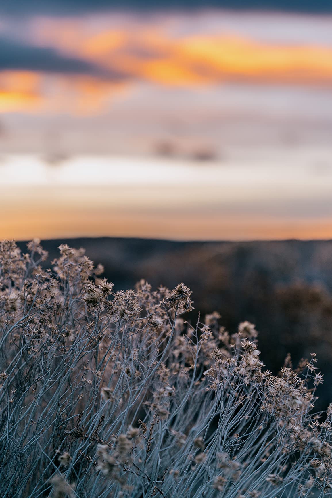 Sigma 65mm F2.0 DG DN for Sony E Mount customer photo 1