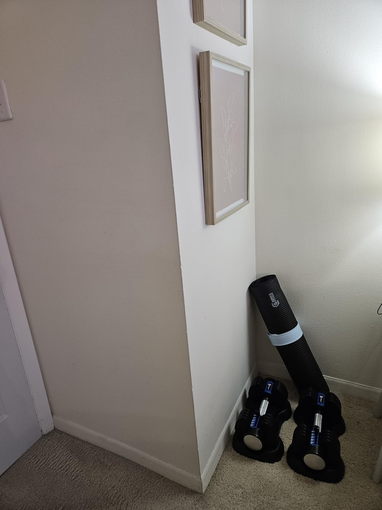 Lifepro Adjustable Dumbbells Set - Quick Adjustment, Anti Slip Handle - Space Saving & Strength Training Weights customer photo 2