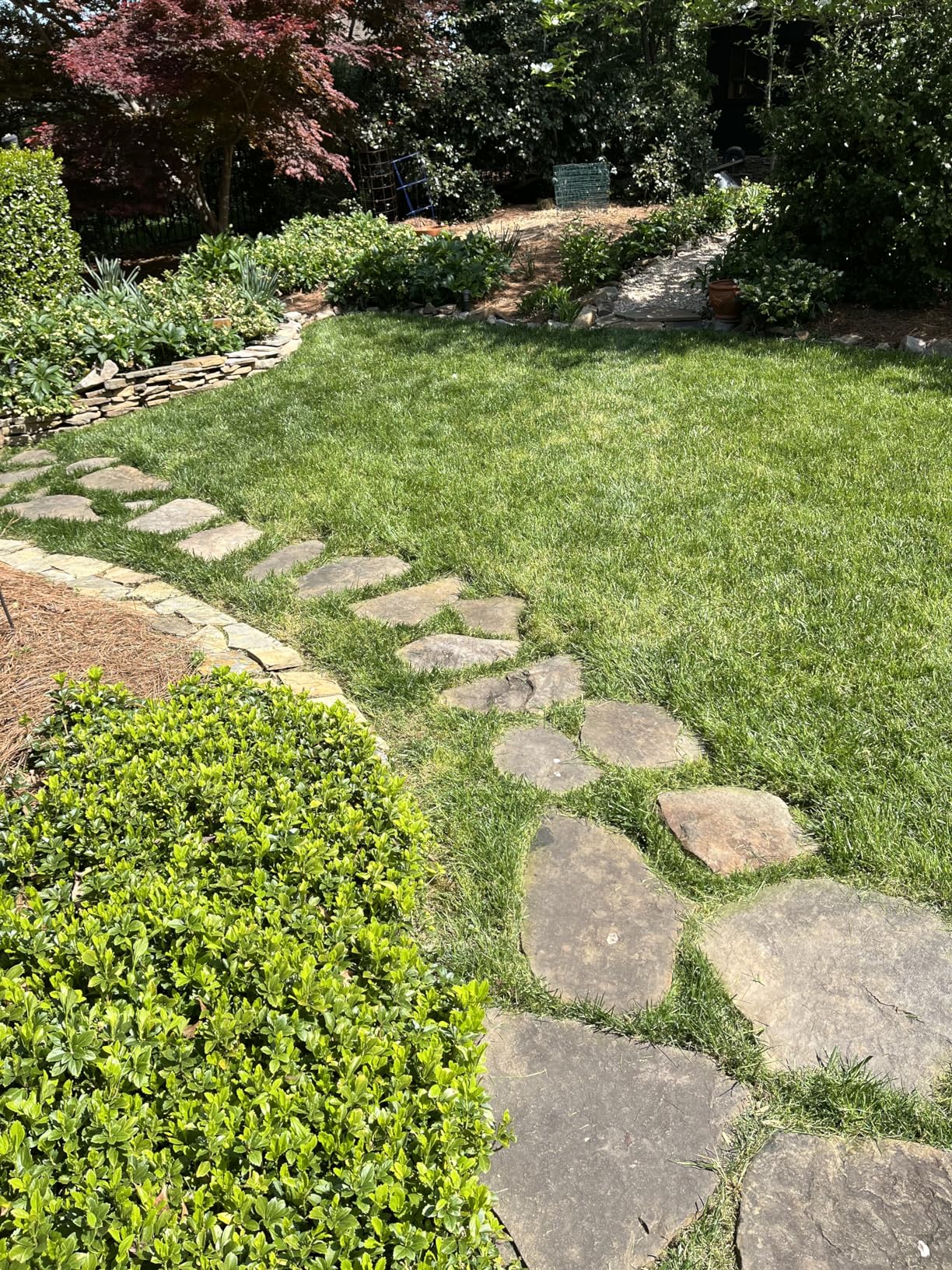 Makita XRU23Z 18V LXT Brushless Cordless 13 String Trimmer (Tool Only) - Customer Photo 2