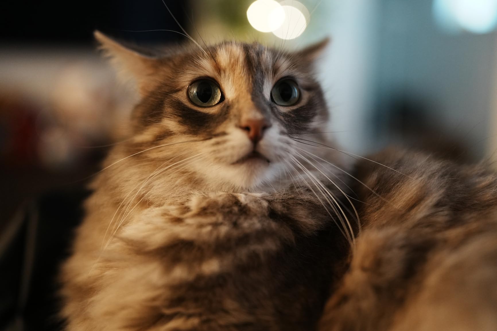 Sony FE 35mm F1.4 GM Full-Frame Large-Aperture Wide Angle G Master Lens - Customer Photo 1