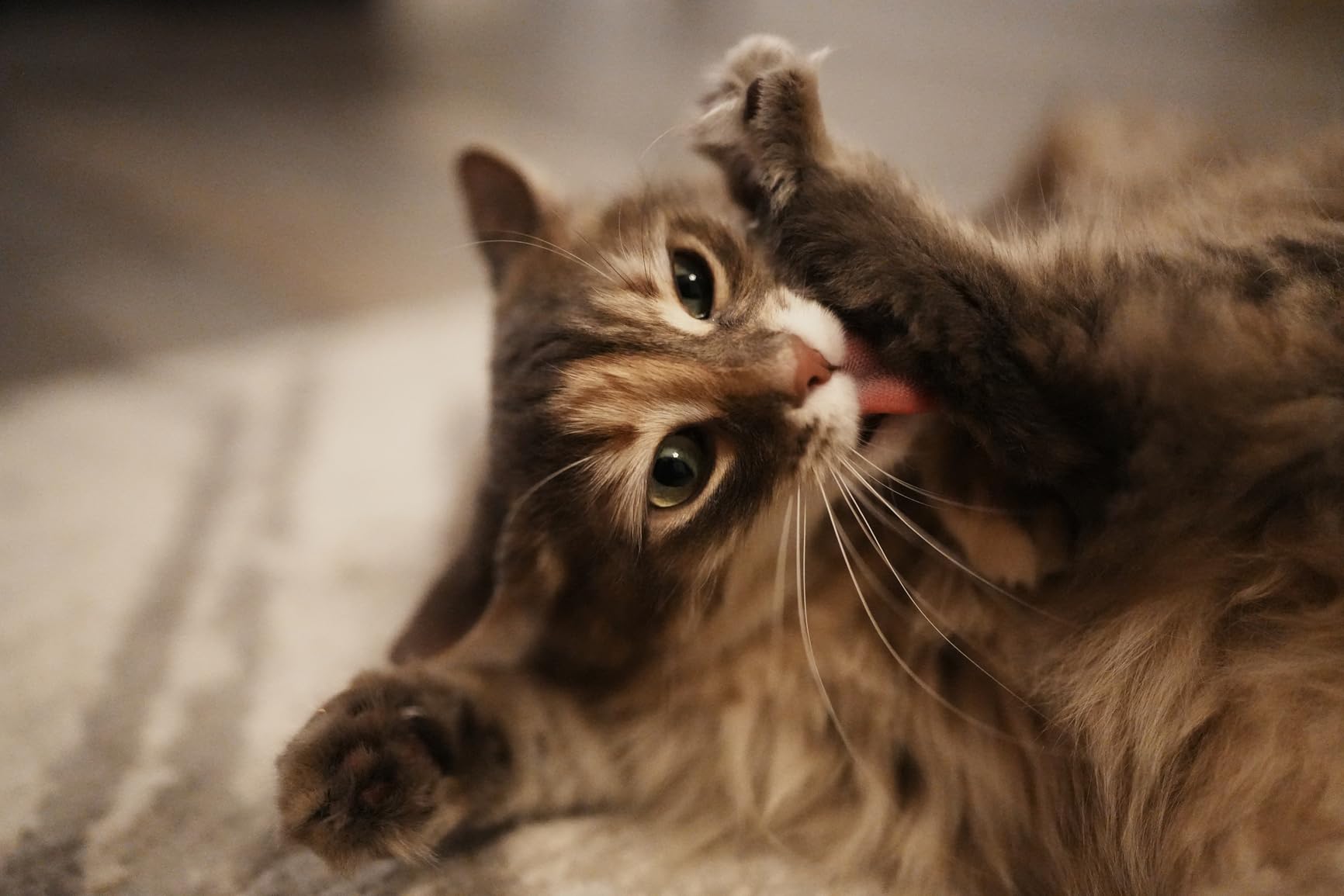 Sony FE 35mm F1.4 GM Full-Frame Large-Aperture Wide Angle G Master Lens - Customer Photo 2