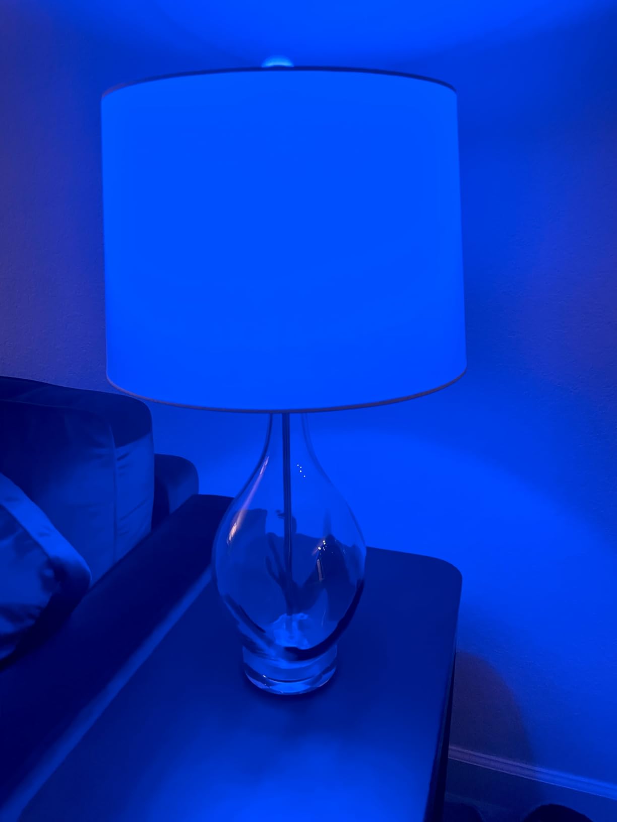 Kasa Smart Light Bulbs, Full Color Changing Dimmable Smart WiFi Bulbs Compatible with Alexa and Google Home, A19, 60 W 800 Lumens,2.4Ghz only, No Hub Required, 2-Pack (KL125P2), Multicolor - Customer Photo 2