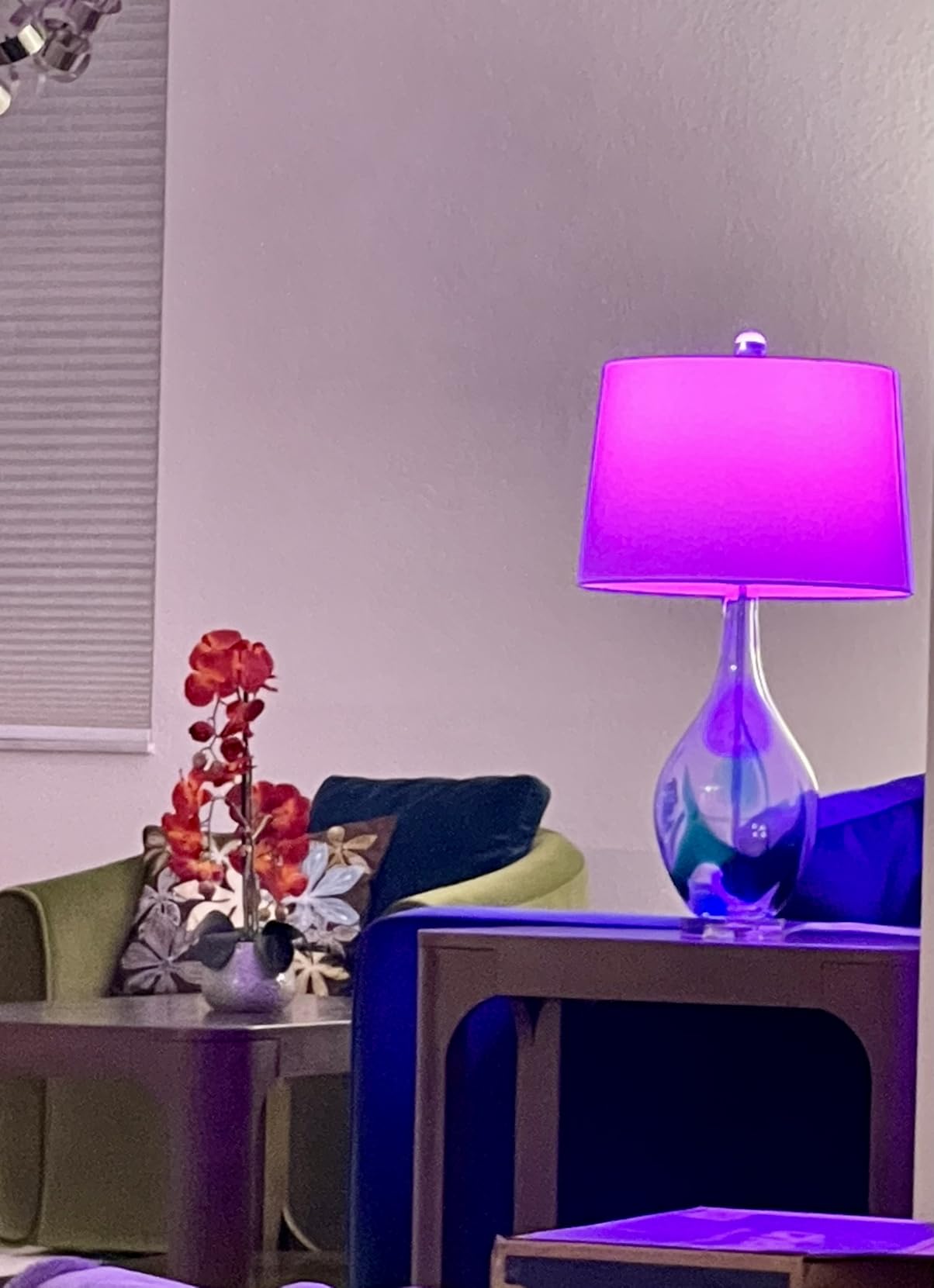 Kasa Smart Light Bulbs, Full Color Changing Dimmable Smart WiFi Bulbs Compatible with Alexa and Google Home, A19, 60 W 800 Lumens, 2.4Ghz only, No Hub Required, 2-Pack (KL125P2), Multicolor - Customer Photo 2