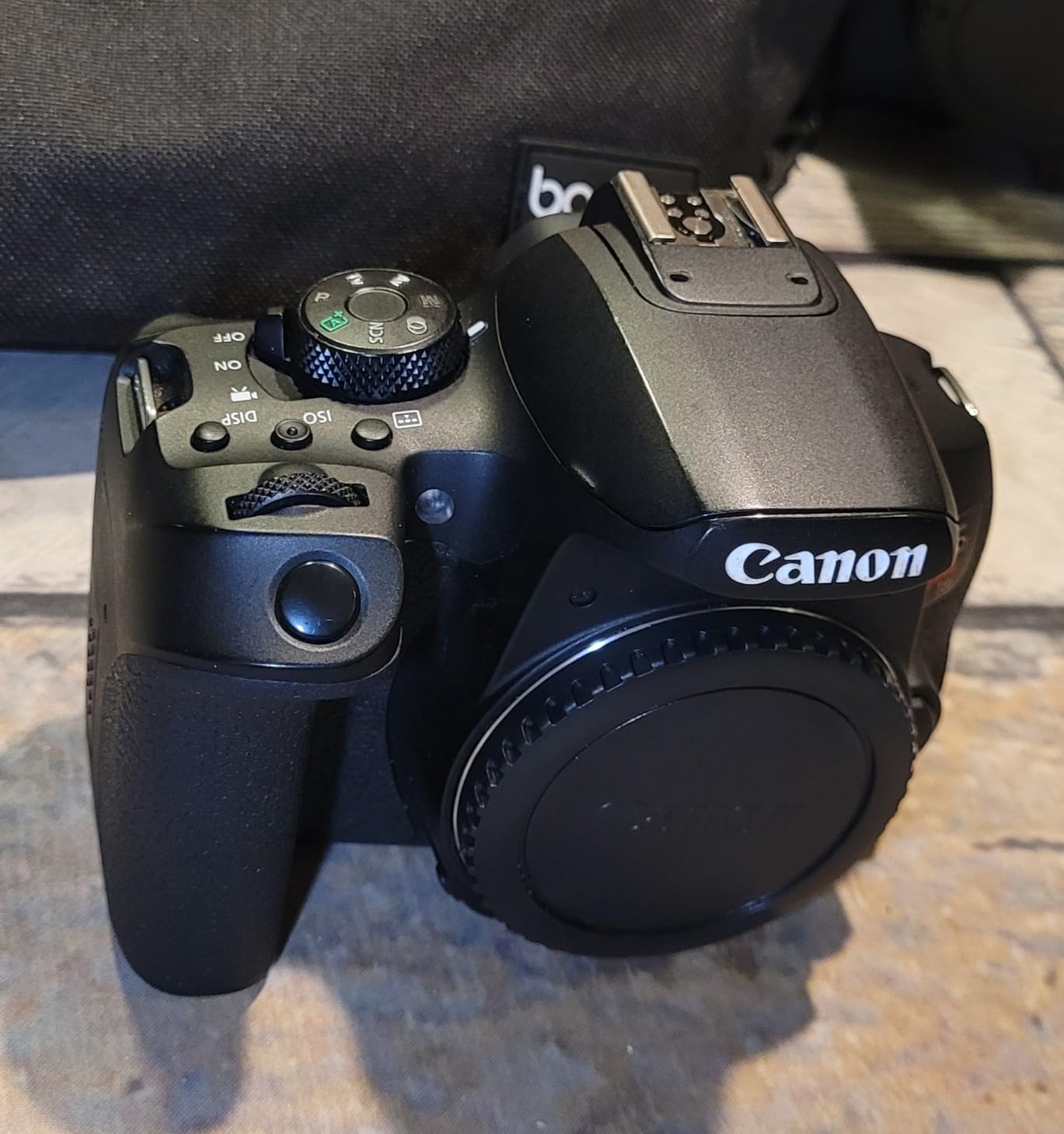 Canon EOS Rebel T8i EF-S 18-55mm is STM Lens Kit, Black (Renewed) - Customer Photo 2