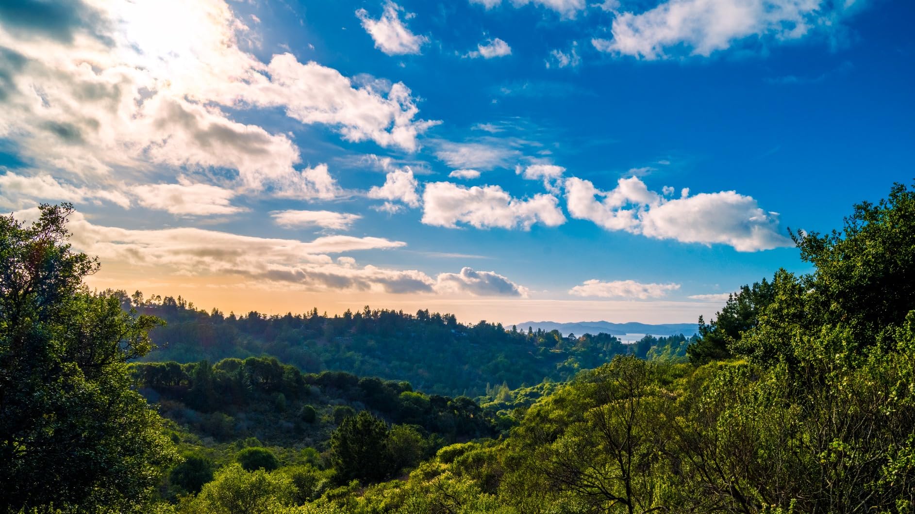 Fujifilm GFX 100S Body - Black customer photo 2
