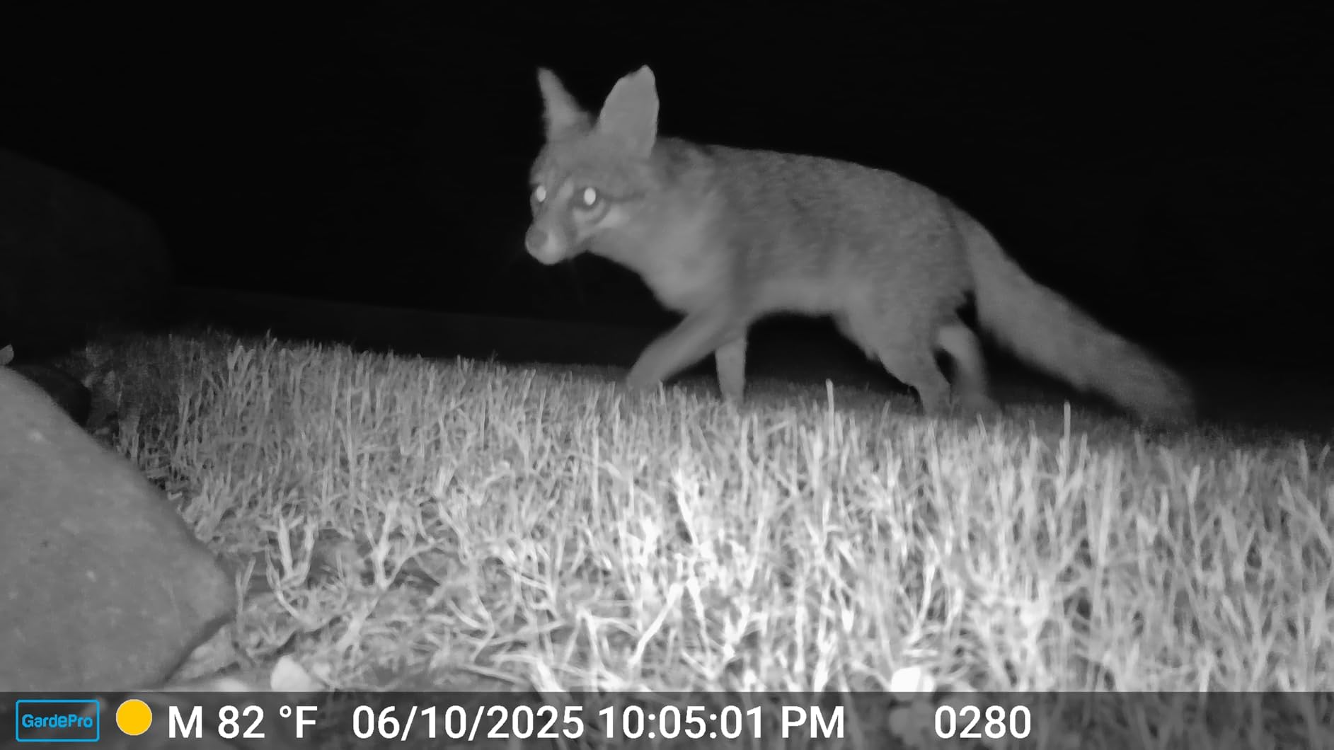 GardePro E6 WiFi Trail Camera (Non-Cellular), 48MP Photos, 1296P HD Video, App Control with Live View, 110° Wide-Angle, No-Glow Night Vision, Motion Activated - Customer Photo 2