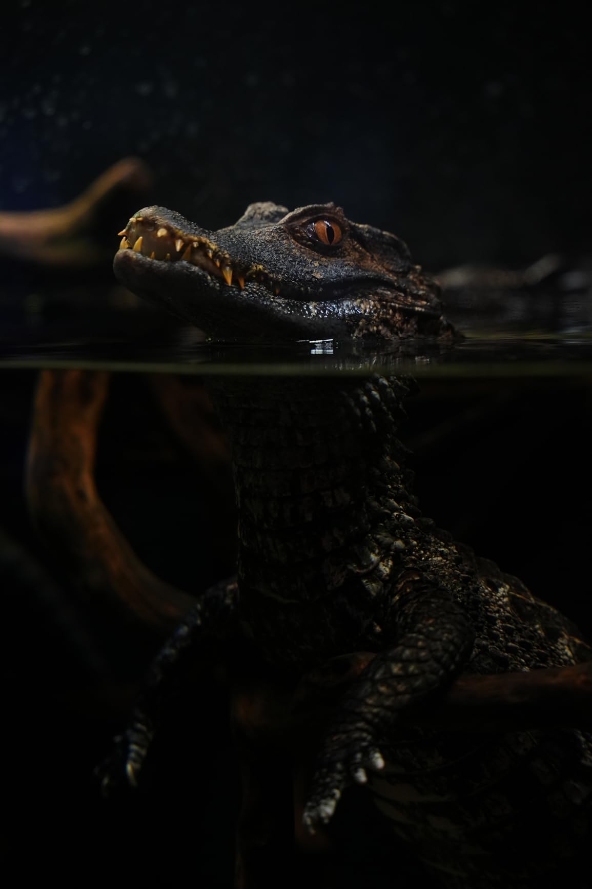 Sigma 28-70mm F2.8 DG DN Contemporary Lens for Sony E - Customer Photo 2