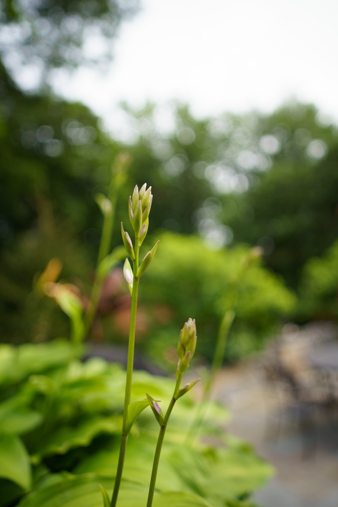 Samyang 24mm F1.8 AF Full Frame Lens for Sony E – Wide Angle, Lightweight, Weather Sealed, Astrophotography Mode, Custom Switch, Silent STM Focus, 9 Blades, 58mm Filter Thread (Black) - Customer Photo 1