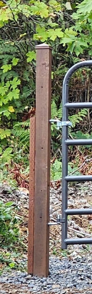 12 Best Fence Post Caps and Finials