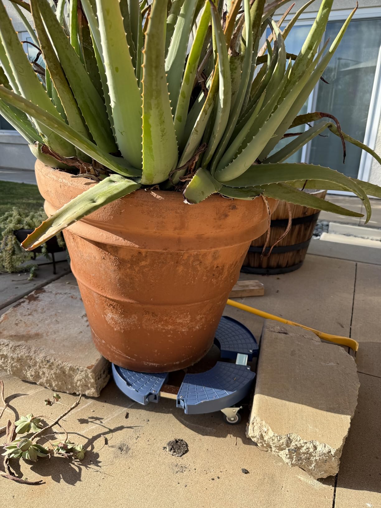 W B D WEIBIDA Plant Caddy with Wheels Heavy Duty 440lbs Capacity, Adjustable 15-21 Inch Rolling Plant Stand Indoor Outdoor, Large Plant Cart Dolly with Casters for Flower Pot Garden Pot Mover - Customer Photo 1