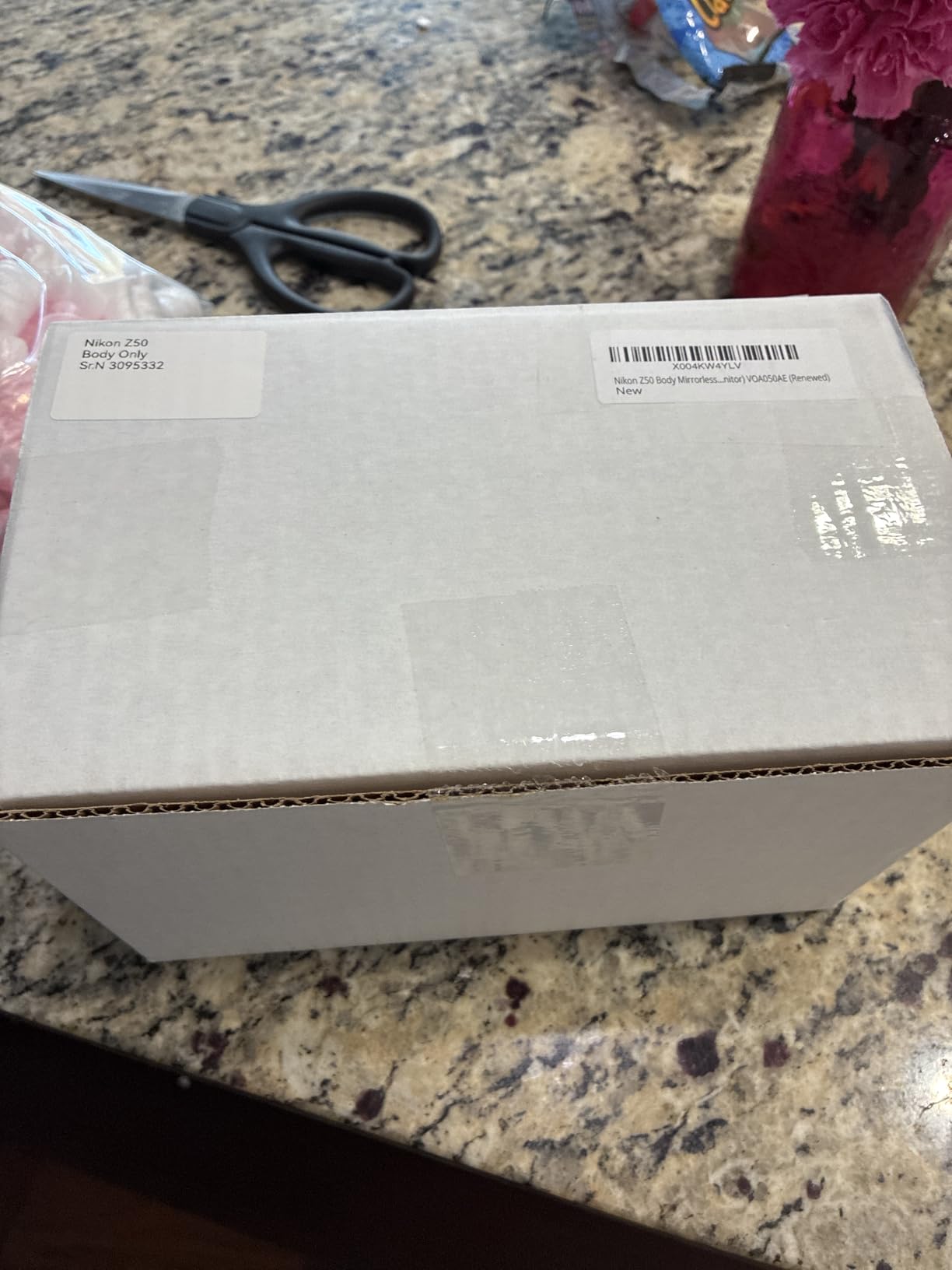 Nikon Z50 Body Mirrorless Camera (209-point Hybrid AF, High Speed Image Processing, 4K UHD Movies, High Resolution LCD Monitor) VOA050AE (Renewed) customer photo 1