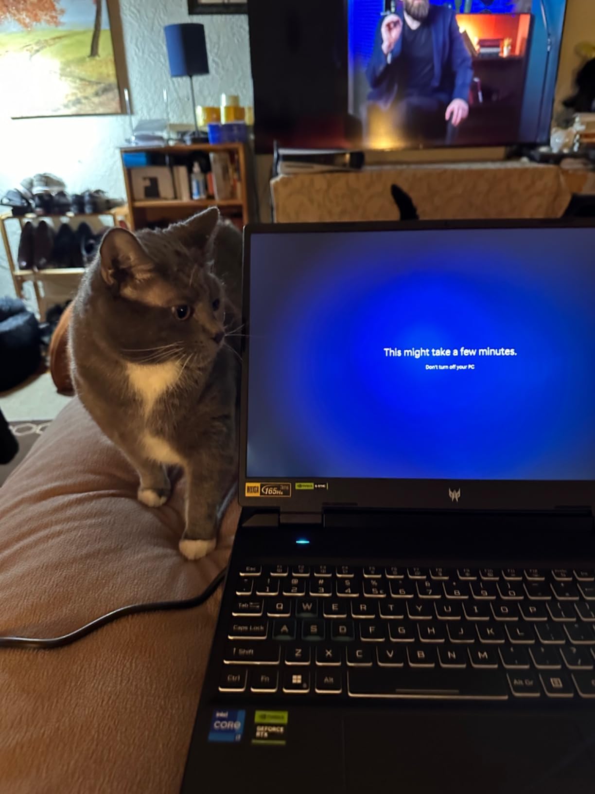 Acer Predator Helios 300 PH315-54-760S Gaming Laptop | Intel i7-11800H | NVIDIA GeForce RTX 3060 GPU | 15.6