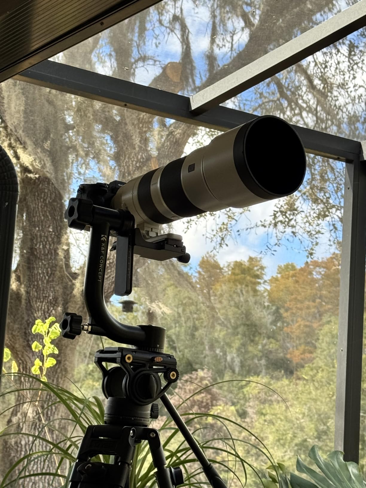 K&F CONCEPT Aluminum Alloy 360 Degree Panoramic Gimbal Tripod Head with 1/4'' Standard Quick Release Plate and Bubble Level, Load Capacity up to 20kg/44lbs customer photo 1