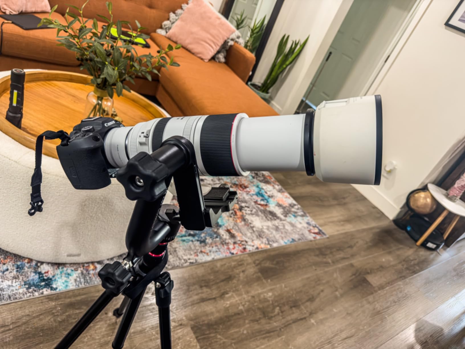 K&F CONCEPT Aluminum Alloy 360 Degree Panoramic Gimbal Tripod Head with 1/4'' Standard Quick Release Plate and Bubble Level, Load Capacity up to 20kg/44lbs customer photo 2