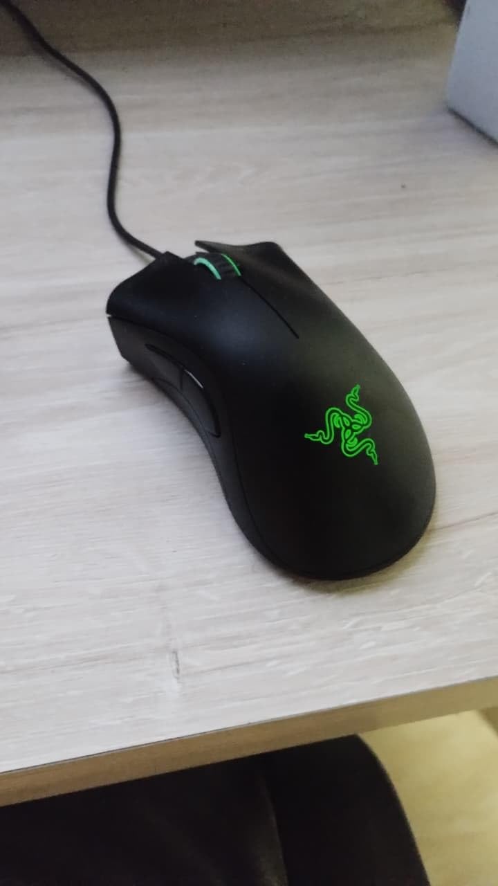 Razer DeathAdder Essential Gaming Mouse: 6400 DPI Optical Sensor - 5 Programmable Buttons - Mechanical Switches - Rubber Side Grips - Classic Black - Customer Photo 1