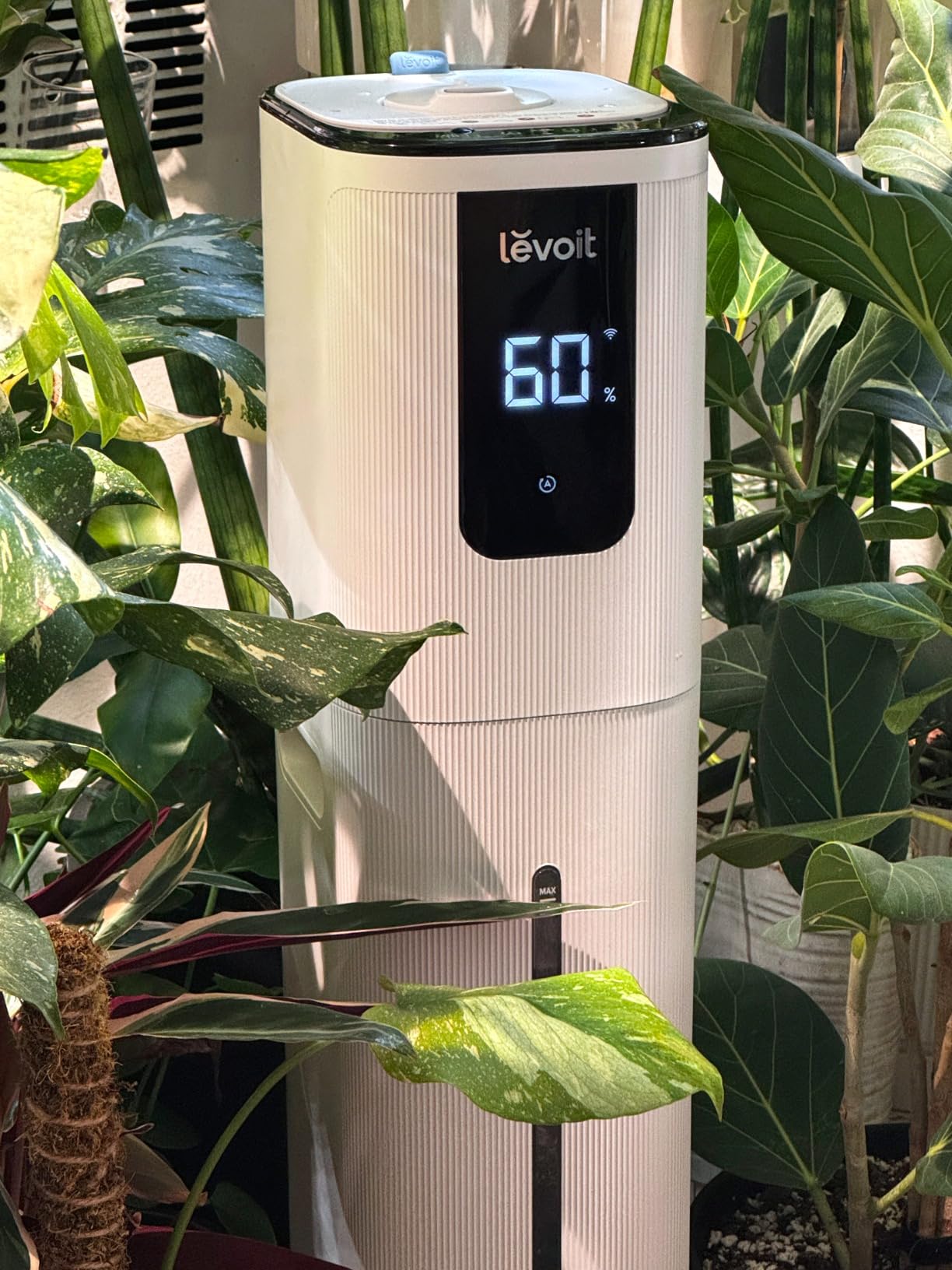 LEVOIT LV600S Smart Warm and Cool Mist Humidifiers for Home Bedroom Large Room, (6L) 753ft² Coverage, Quickly & Evenly Humidify Whole House, Easy Top Fill, App & Voice Control - Quiet Sleep Mode - Customer Photo 2