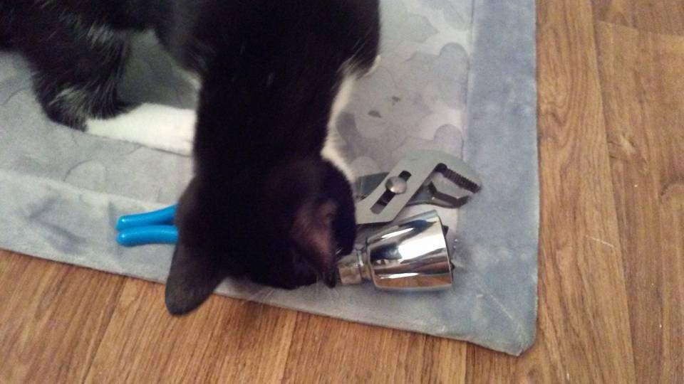 Hydroluxe 1733 Handheld Showerhead & Rain Shower Combo. High Pressure 24 Function 4