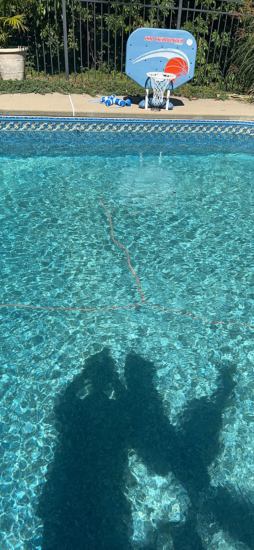 Polaris P965iQ Sport Robotic Pool Cleaner, Automatic Vacuum for InGround Pools up to 60ft, Smart App, WiFi, Amazon Alexa, 70ft Swivel Cable w/Strong Suction & Easy Access Filter Canister - Customer Photo 2