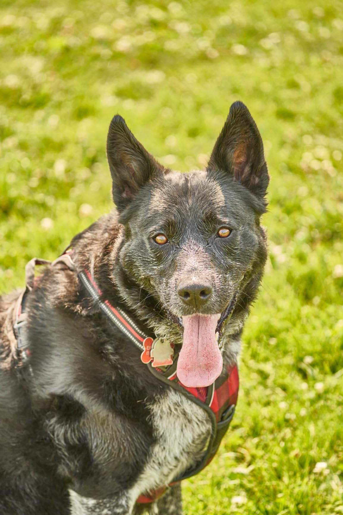 150-500mm f/5-6.7 Di III VC VXD Lens for Full Frame Sony Mirrorless Camera - Customer Photo 1