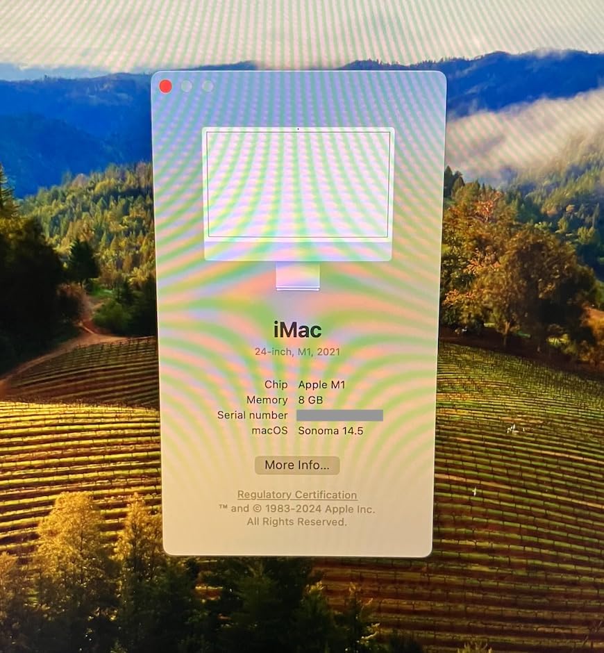 Apple 2021 iMac with Apple M1 Chip with 8-core CPU 24-inch, 8GB RAM, 256GB SSD Storage Blue (Renewed) - Customer Photo 2