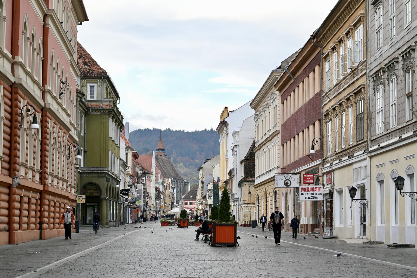 Nikon Z fc with Wide-Angle Zoom Lens | Retro-inspired compact mirrorless stills/video camera with 16-50mm zoom lens | Nikon USA Model customer photo 1