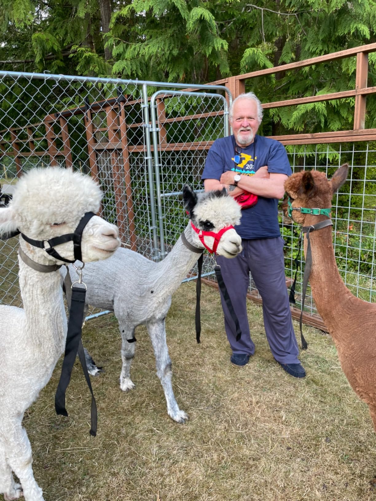 Vacmaster Wet/Dry Vacuum with Detachable Blower 6 Gallon 5 Peak HP-VBVB611PF 1101 - Customer Photo 2