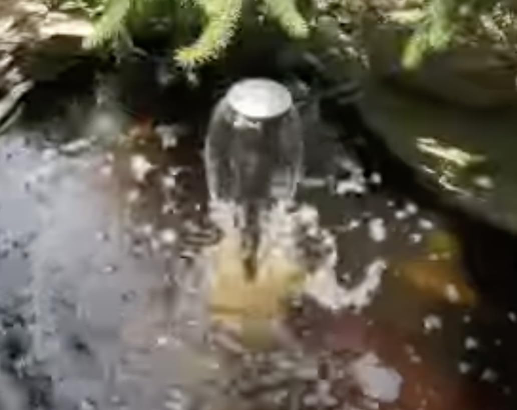 ANBULL 1370GPH Pond Filter Pump, 110V/57W All-in-one Fountain Kit, Variable Frequency Water Pump with 13W UV-C - Customer Photo 2