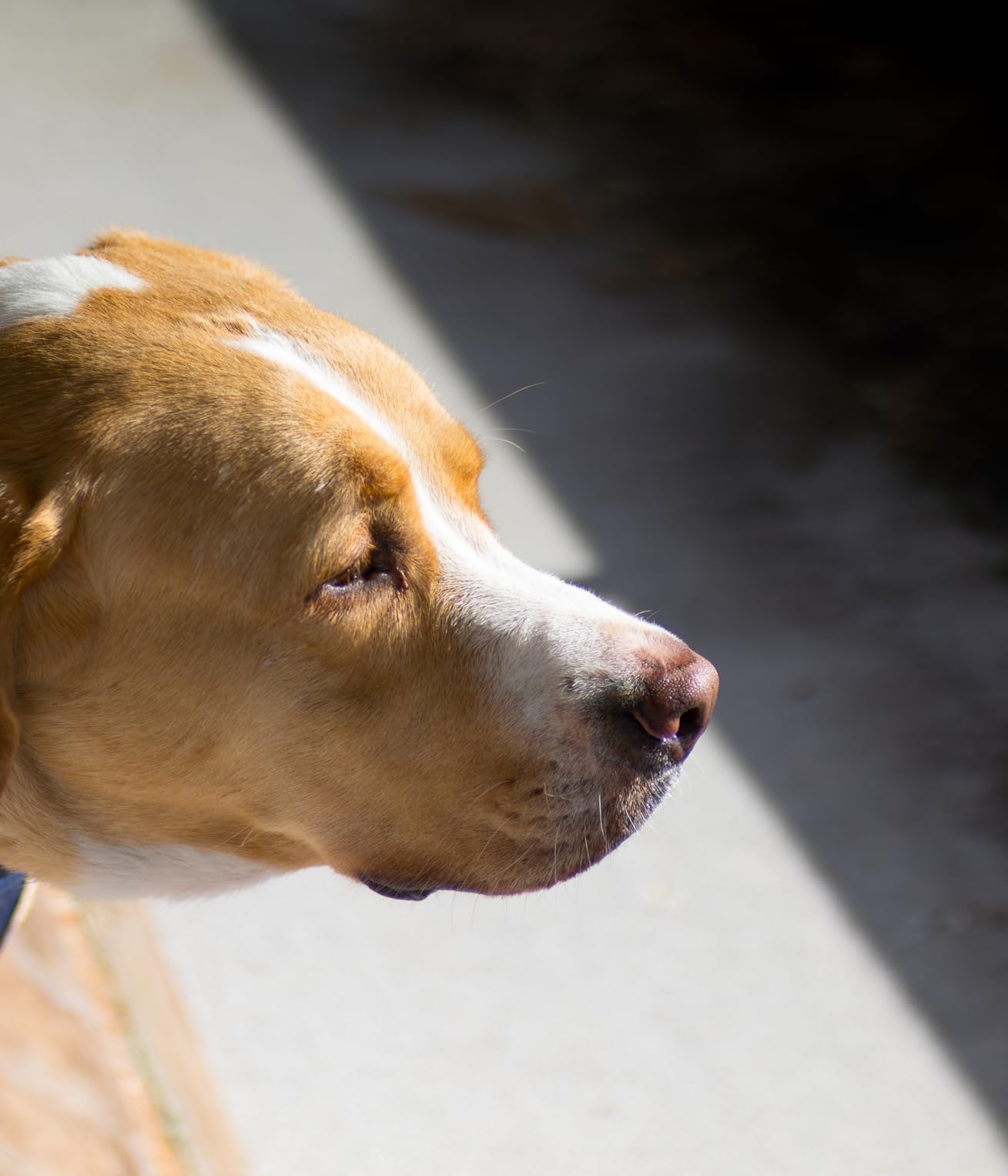 7artisans 35mm F1.4 Mark II APS-C Manual Focus Fixed Lens - Customer Photo 1