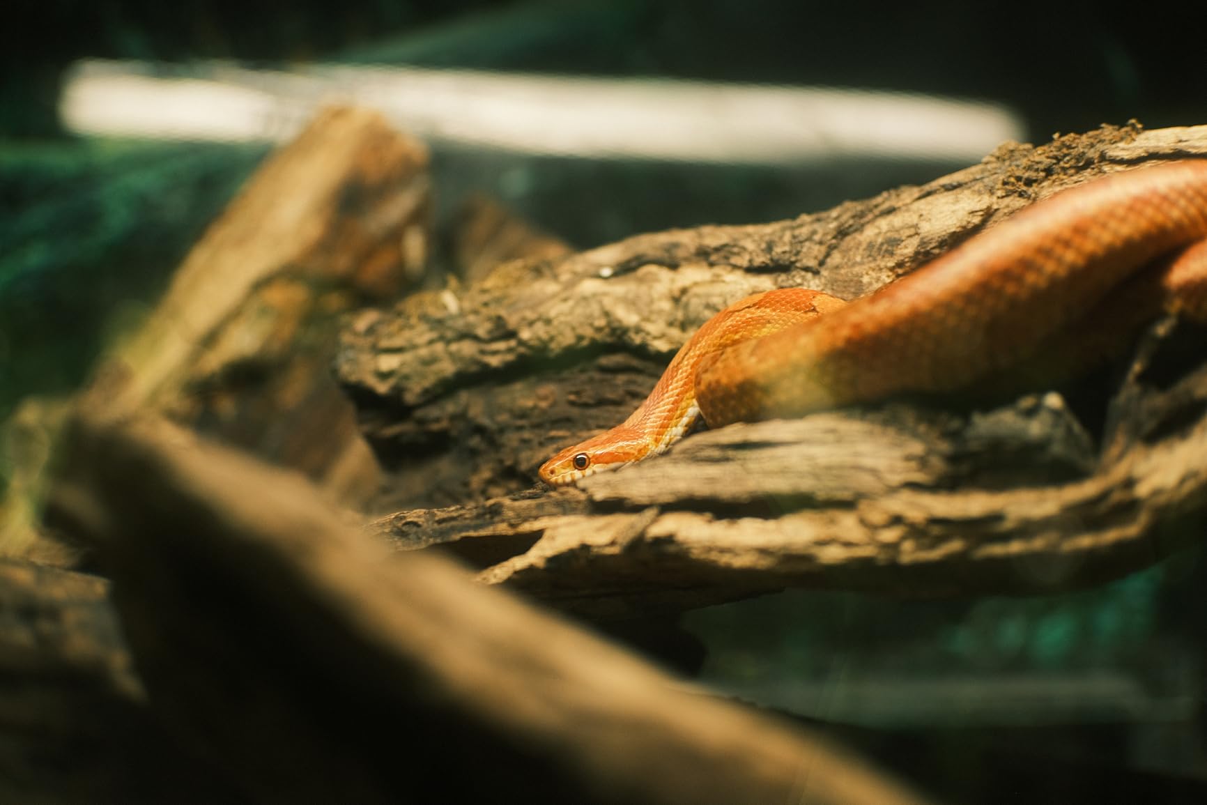 7artisans 35mm F1.4 Mark II APS-C Manual Focus Fixed Lens - Customer Photo 2