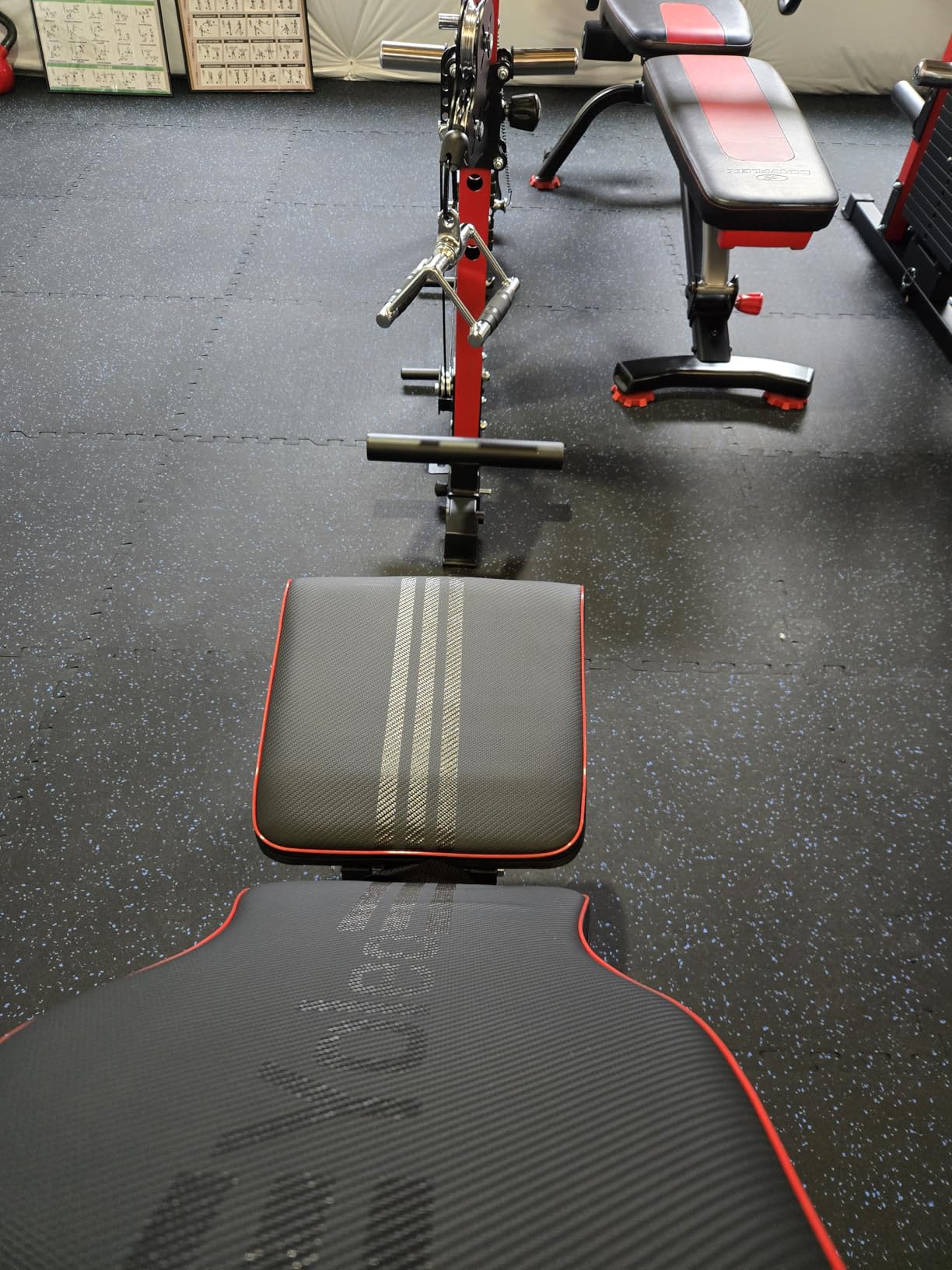 Yoleo Adjustable Weight Bench for Full Body Workout; Foldable Bench Press Bench of Home Gym Strength Training; Incline Decline Flat Utility Workout Bench with Quick Folding& Fast Adjustment (Black) - Customer Photo 1