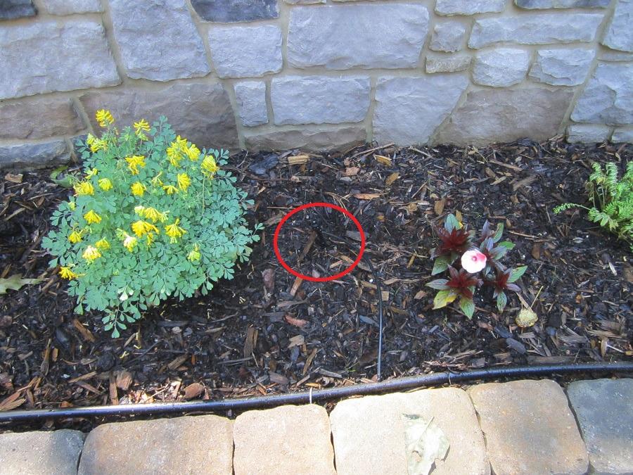 Orbit 69535 Shrub and Flower Bed Drip Kit with Programmable Hose Watering Timer - Customer Photo 1