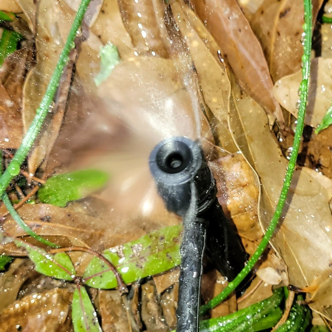 Orbit 69535 Shrub and Flower Bed Drip Kit with Programmable Hose Watering Timer - Customer Photo 3