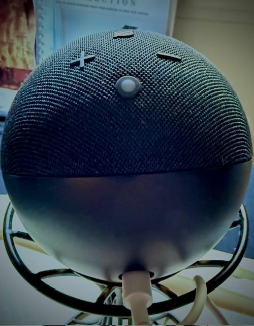 best voice assistant for smart homes