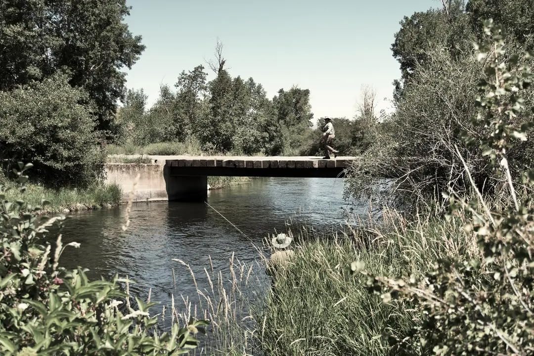 Sony Alpha ZV-E10 - APS-C Interchangeable Lens Mirrorless Vlog Camera Kit - Black - Customer Photo 2