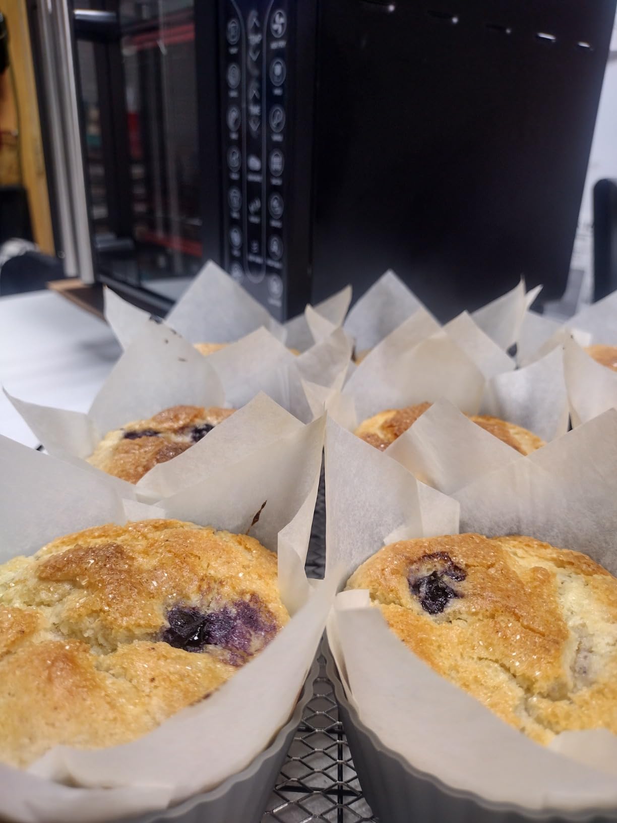 Gourmia French Door Air Fryer – 25 Qt Large Capacity Convection Oven, Fryfroce 360°, Digital Display with 17 Cooking Presets, Bake, Toast, Roast, Dehydrate, Fits 12