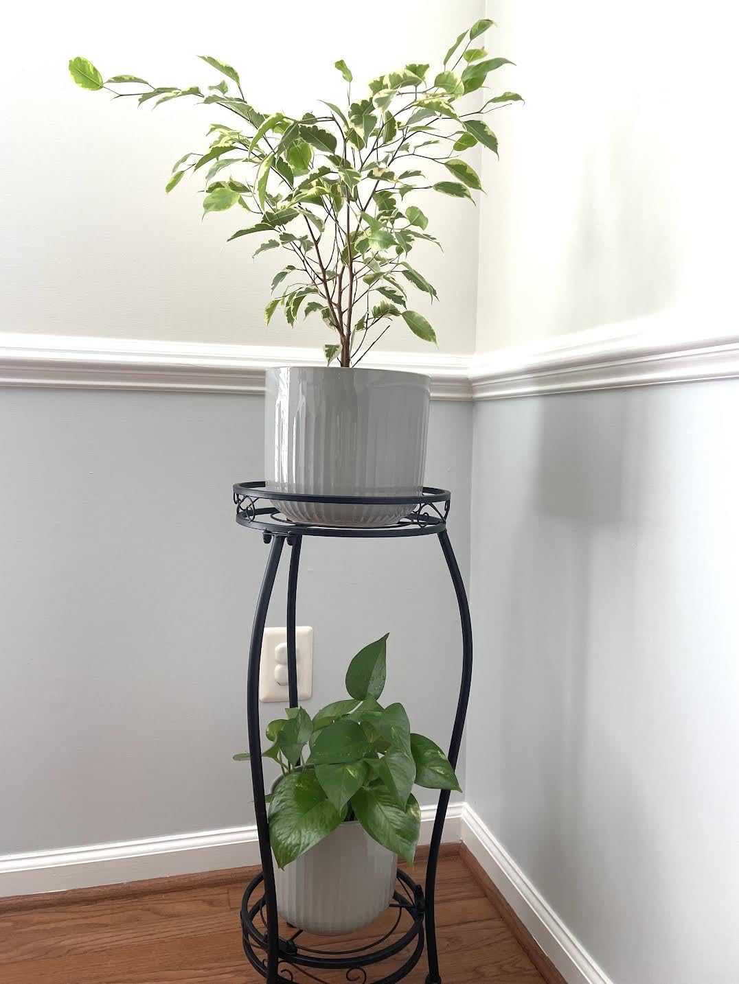 LE TAUCI Fluted Ceramic Planters Set of 3 - 8.3/7 / 5.7 in Dark Olive Reactive Cylinder Indoor Plant Pots with Drainage Plug & Mesh, Glossy Stoneware Flower Pots for Succulents Herbs - Customer Photo 1