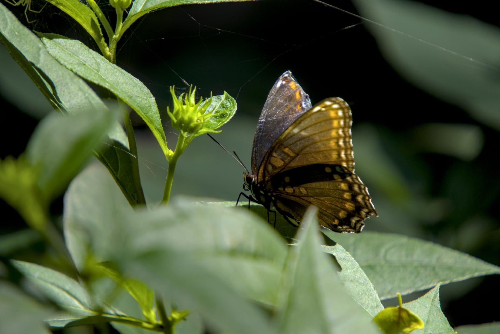 Tamron 18-300mm F/3.5-6.3 Di III-A VC VXD Lens for Sony E APS-C Mirrorless Cameras - Customer Photo 2