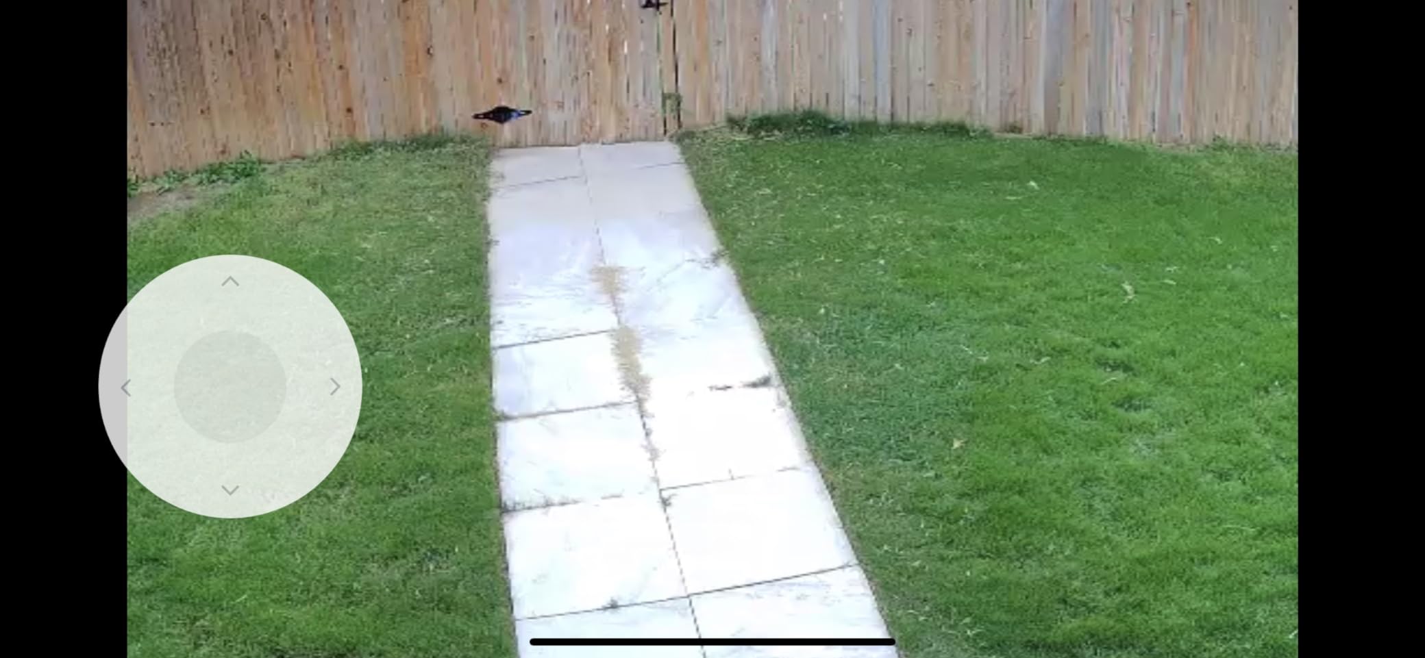 Lorex 2K Pan-Tilt Outdoor WiFi Security Camera | 360° View | Auto-Tracking | Color Night Vision | Person Detection | Warning Light & Siren | IP66 Weatherproof | 32GB MicroSD Included | No Monthly Fee - Customer Photo 3