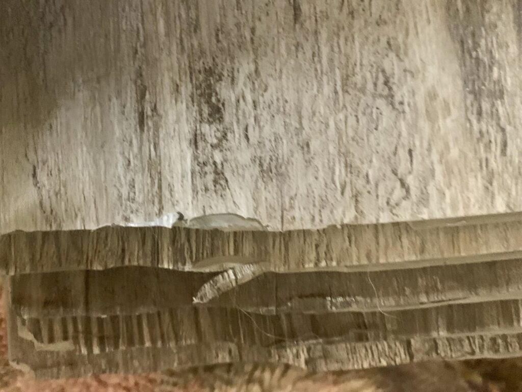 Best Luxury Vinyl Plank Flooring