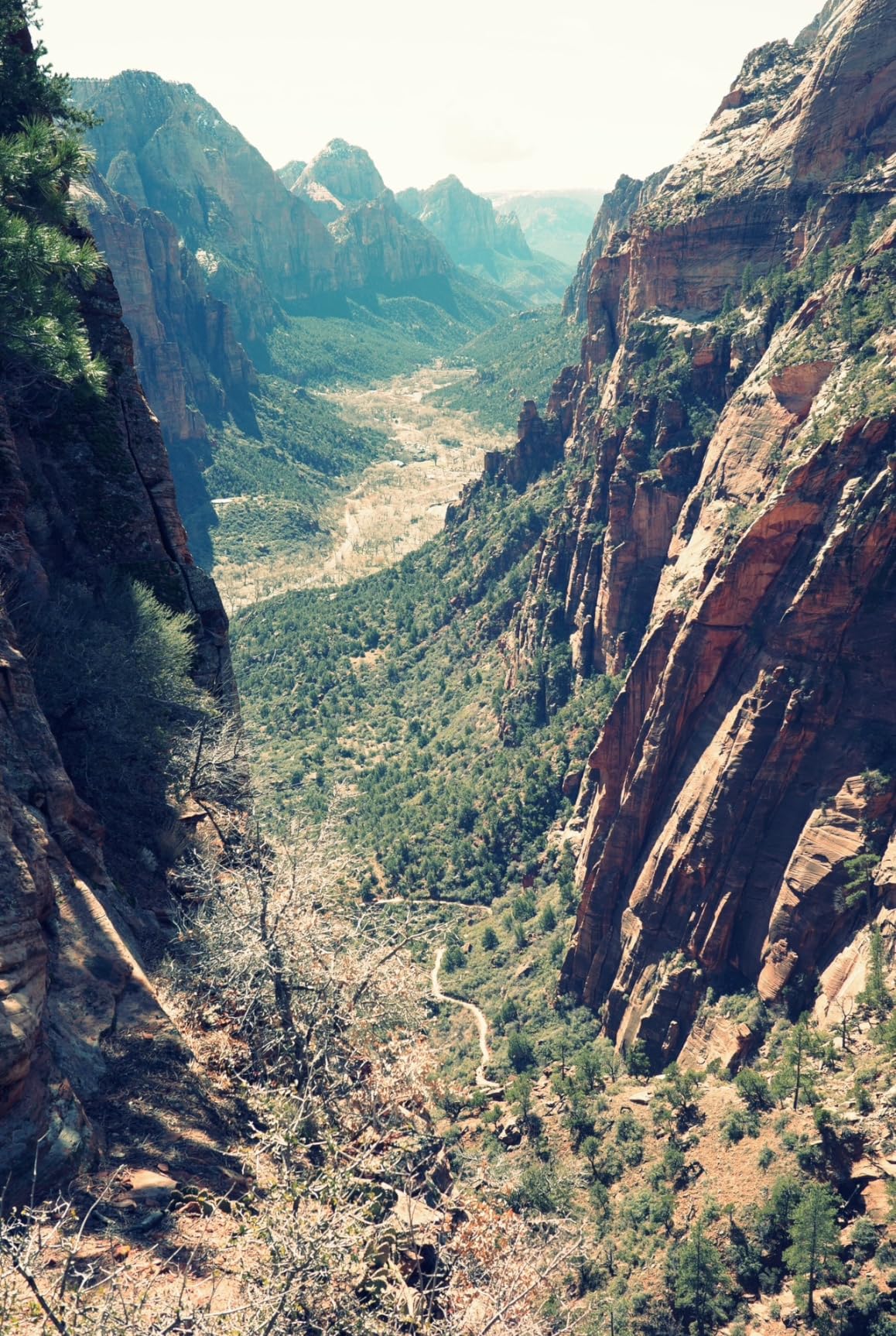 Ricoh GR IIIx, Black, Digital Compact Camera with 24MP APS-C Size CMOS Sensor, 40mmF2.8 GR Lens - Customer Photo 2