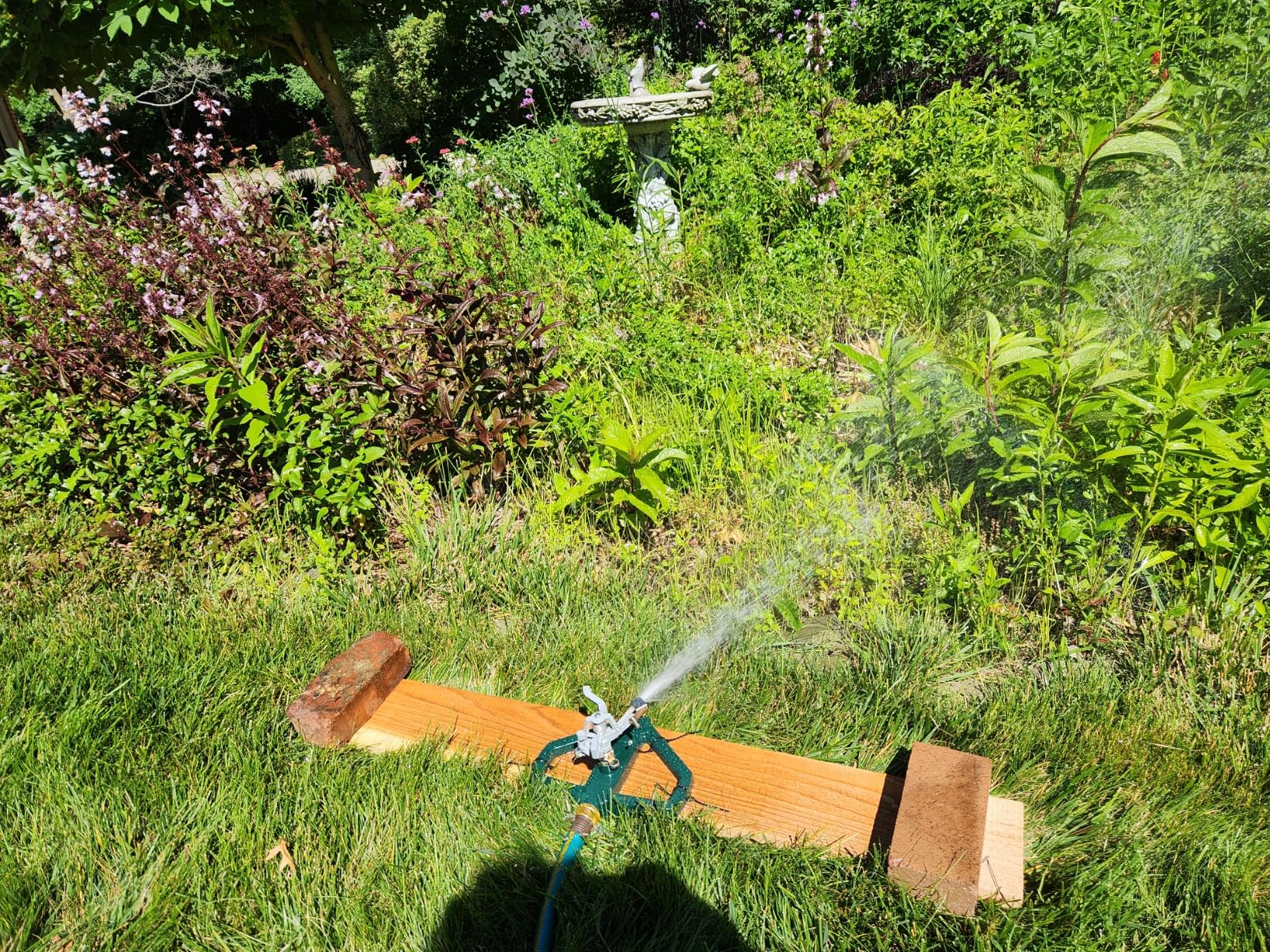 STYDDI Heavy Duty Impact Pulsating Sprinkler for Yard, All Metal Adjustable Rotating Circular Impulse Lawn Sprinkler for Medium to Large Areas, Lawn and Garden, Coverage up to 5,800 Sq. Ft - Customer Photo 1